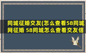 同城征婚交友(怎么查看58同城网征婚 58同城怎么查看交友信息)